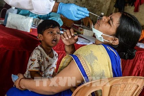 Ấn Độ: Gần 6 triệu người ở New Delhi có thể đã mắc COVID-19