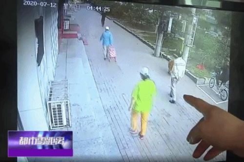 Đang dắt chó đi dạo thì mèo rơi trúng đầu, người đàn ông bất tỉnh tại chỗ