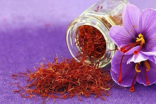 Nhụy hoa nghệ tây có tác dụng gì đối với sức khỏe con người?