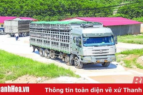 Chính sách hỗ trợ - động lực phát triển nông nghiệp
