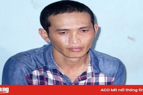 An Giang: Bắt đối tượng trốn truy nã, thực hiện nhiều vụ trộm cây mai cảnh
