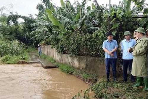 Gần 500 ha lúa, hoa mầu và cây ăn quả bị ngập, đổ