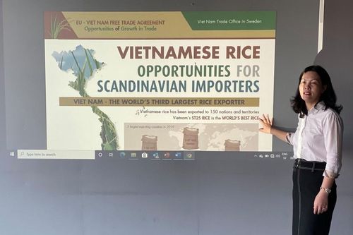 Thương vụ Việt Nam tại Thụy Điển: 'Mở đường' cho hàng Việt xuất khẩu, tận dụng cơ hội từ EVFTA