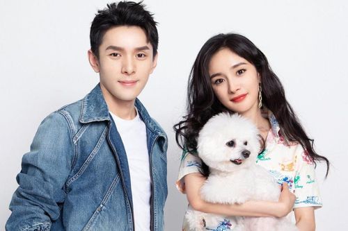 MC Lý Giai Kỳ bị chỉ trích vì mang theo 8 vệ sĩ ra phố