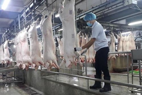 Ngành chăn nuôi Hà Nội: Tái cơ cấu để hội nhập