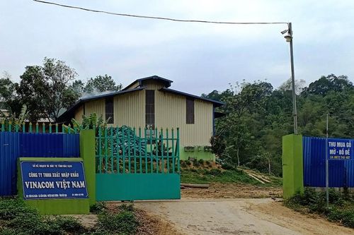 Xử phạt doanh nghiệp xây nhà xưởng không phép