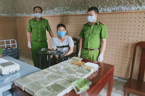 Phá hai chuyên án, thu 43,56 kg ma túy các loại