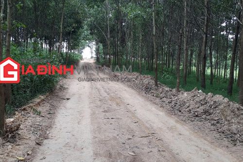 Hòa Bình: Bạt núi mở đường để khai thác khoáng sản trái phép?