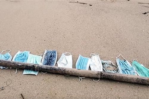 Vấn nạn rác thải nhựa từ đại dịch Covid-19