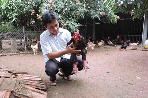 Hưng Yên: 24 sản phẩm đạt tiêu chuẩn