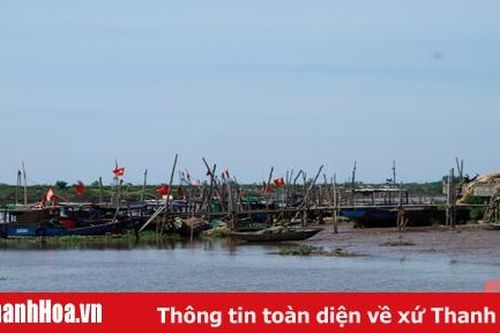 Cần có biện pháp xử lý tình trạng lấn chiếm lòng sông Càn