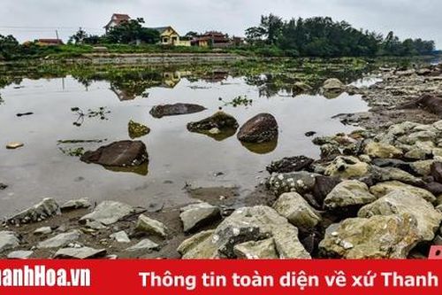 Cần đẩy nhanh tiến độ thi công dự án Khu neo đậu tàu thuyền sông Lý