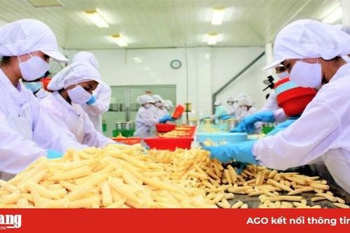 Tạo động lực phát triển từ các phong trào thi đua