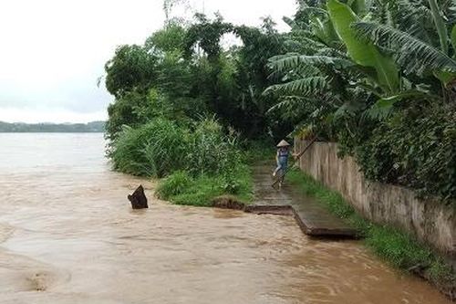 Chủ động ứng phó với mưa, lũ lớn trên sông Thao; đề phòng sạt lở đất