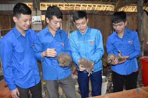 Thanh niên Lâm Bình thi đua phát triển kinh tế