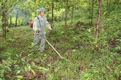 Nguồn lực giúp hội viên phát triển kinh tế