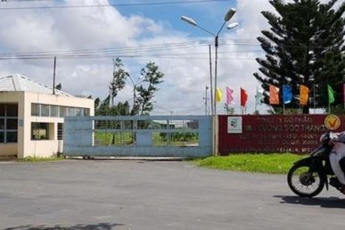 Phong tỏa tài khoản Công ty cổ phần mía đường Sóc Trăng để thi hành án