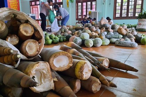 Rau lủi, măng rừng của đồng bào Ca Dong xuôi xuống vùng tâm dịch