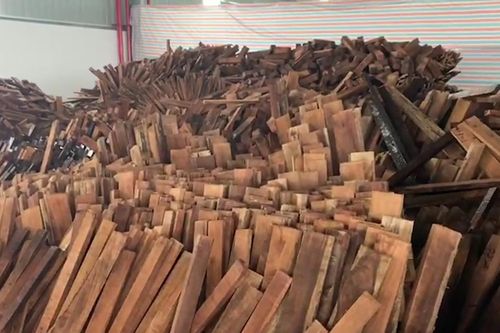 Bắt giữ 60 container nghi gỗ giáng hương Tây Phi nhập lậu vào TP.HCM