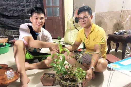 Sập bẫy làm giàu từ lan đột biến tiền tỷ