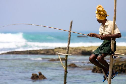 Nghệ thuật câu cá độc đáo trên cọc kheo ở Sri Lanka