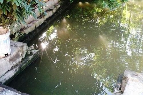 Hai chị em tử vong ở hồ nước gần nhà