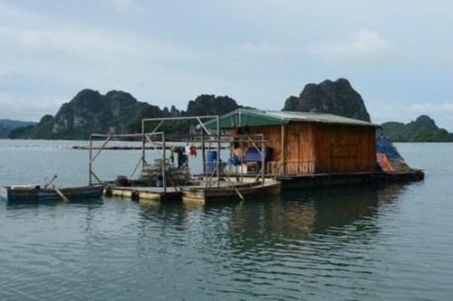 Đột kích sới bạc trên bè nổi giữa biển