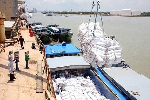 Gạo Việt xuất khẩu, tin vui thời Covid