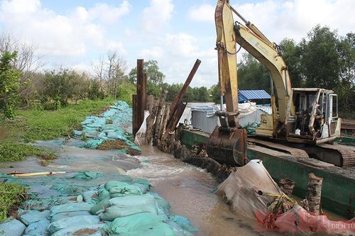 Nhà vườn Bến Tre khốn khổ vì vỡ đê bao