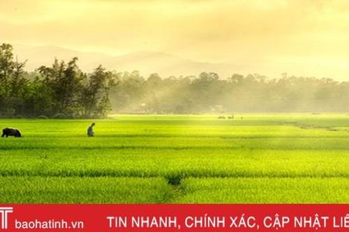 Ngoại ô êm đềm...