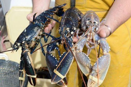 Mỹ và EU đạt thỏa thuận cắt giảm thuế đối với một số mặt hàng
