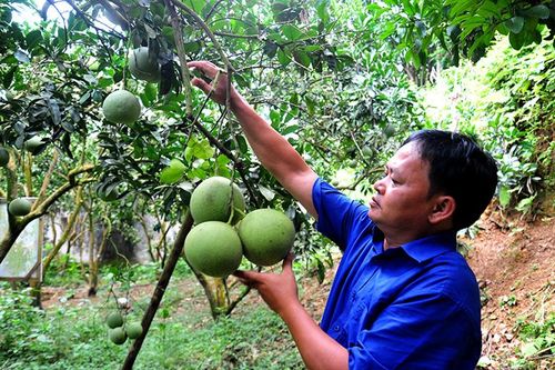 Nâng tầm giá trị sản phẩm