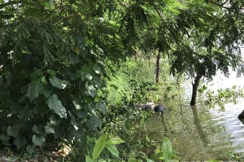 Phát hiện thi thể nam giới dưới con rạch ở Sài Gòn
