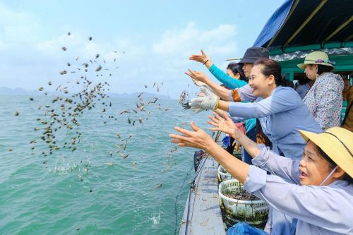 Góc khuất phóng sinh thời 'cô vi'