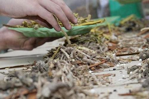 Sắc thuốc đông y thế nào cho đúng?
