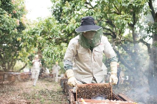 Vĩnh Phúc: Gia tăng giá trị nông sản địa phương