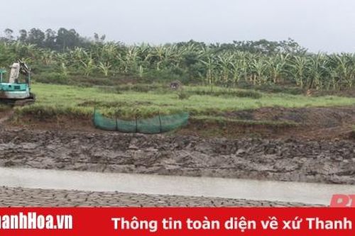Huyện Nga Sơn chủ động phương án phòng, chống thiên tai và tìm kiếm cứu nạn