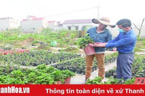 Khởi nghiệp và câu chuyện vượt rào cản: Bài 1: Thay đổi tư duy lập nghiệp