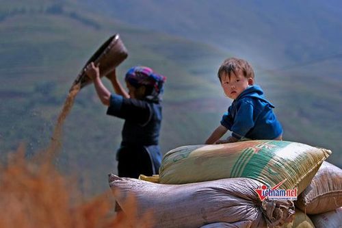 Forecasting labor demand for industrial development in ethnic minority and mountainous regions