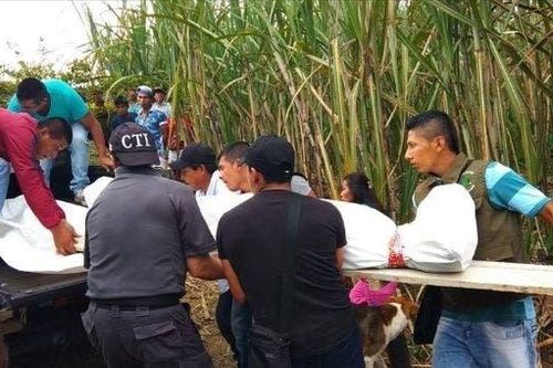 Ba vụ thảm sát trong 24 giờ: Tuần đẫm máu tại Colombia