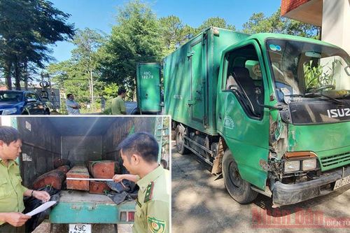 Lái xe chở gỗ lậu lao thẳng lực lượng kiểm tra