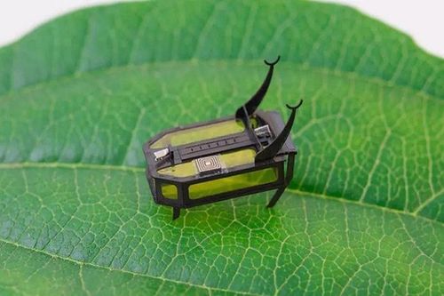 Thích thú xem robot tí hon hoạt động không cần pin