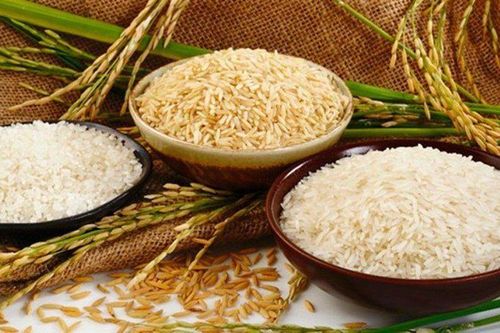 Thị trường xuất nhập khẩu ngày 22-24/8: Giá thịt lợn hơi ít biến động, xuất khẩu gạo đón tín hiệu tích cực