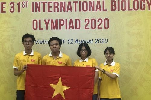 Việt Nam có 1 học sinh đạt Huy chương Vàng Olympic Sinh học quốc tế năm 2020