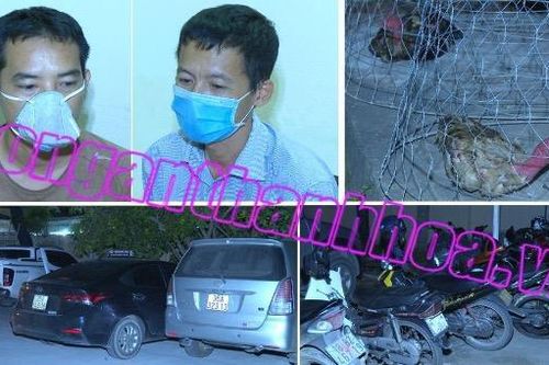 Bắt quả tang 85 đối tượng đánh bạc dưới hình thức đá gà, thu giữ 123 triệu đồng
