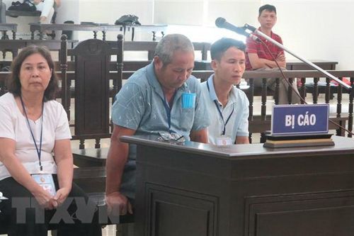 Vụ làm giả sổ đỏ Ba Vì: Luật sư kiến nghị hủy án nhằm tránh oan sai