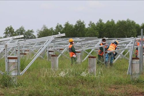 Tăng tốc đóng điện dự án điện mặt trời Lộc Ninh - Bình Phước vào ngày 31/12