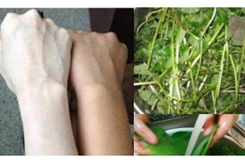 Đun nước lá này tắm trong 1 tuần, da mịn màng 'bật tông' rõ rệt