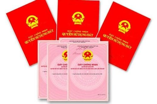 Kiến nghị giải quyết 25 sổ đỏ bị làm giả hồ sơ ở huyện Ba Vì, Hà Nội