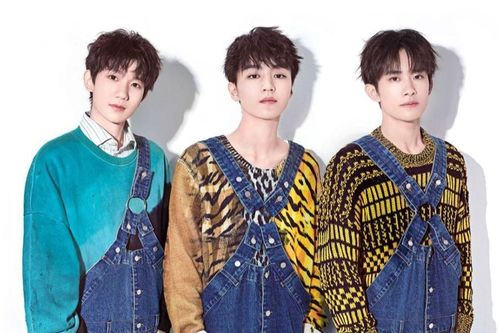 Lượng fan của từng thành viên TFBoys phân hóa rõ rệt: Người hâm mộ Dịch Dương Thiên Tỉ nhiều gấp 3 lần Vương Nguyên
